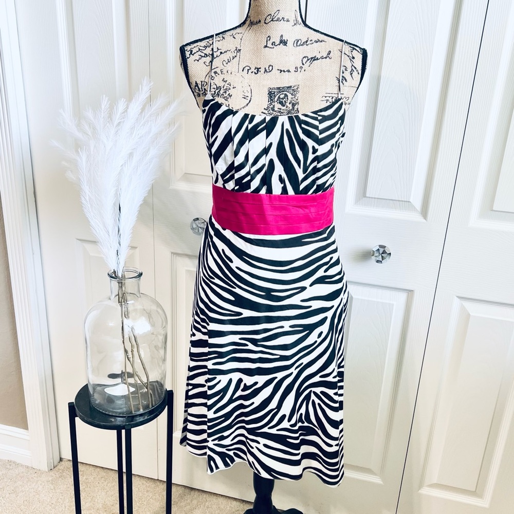 Zebra print Ann Taylor dress with tie waist